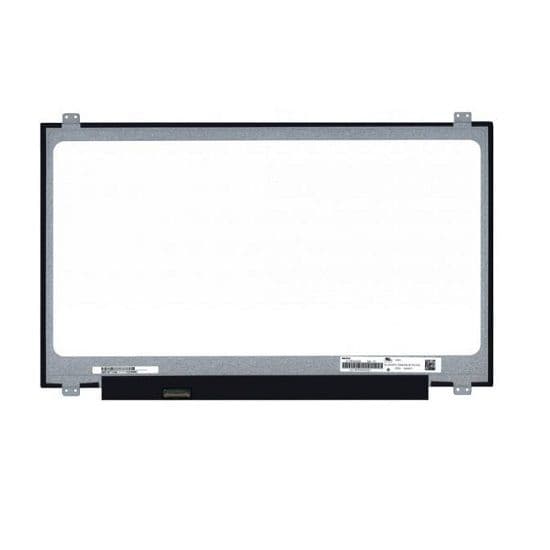 screen 17.3 slim 30pin.jpeg